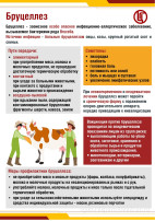 Профилактика бруцеллеза! Профилактика бруцеллеза!.